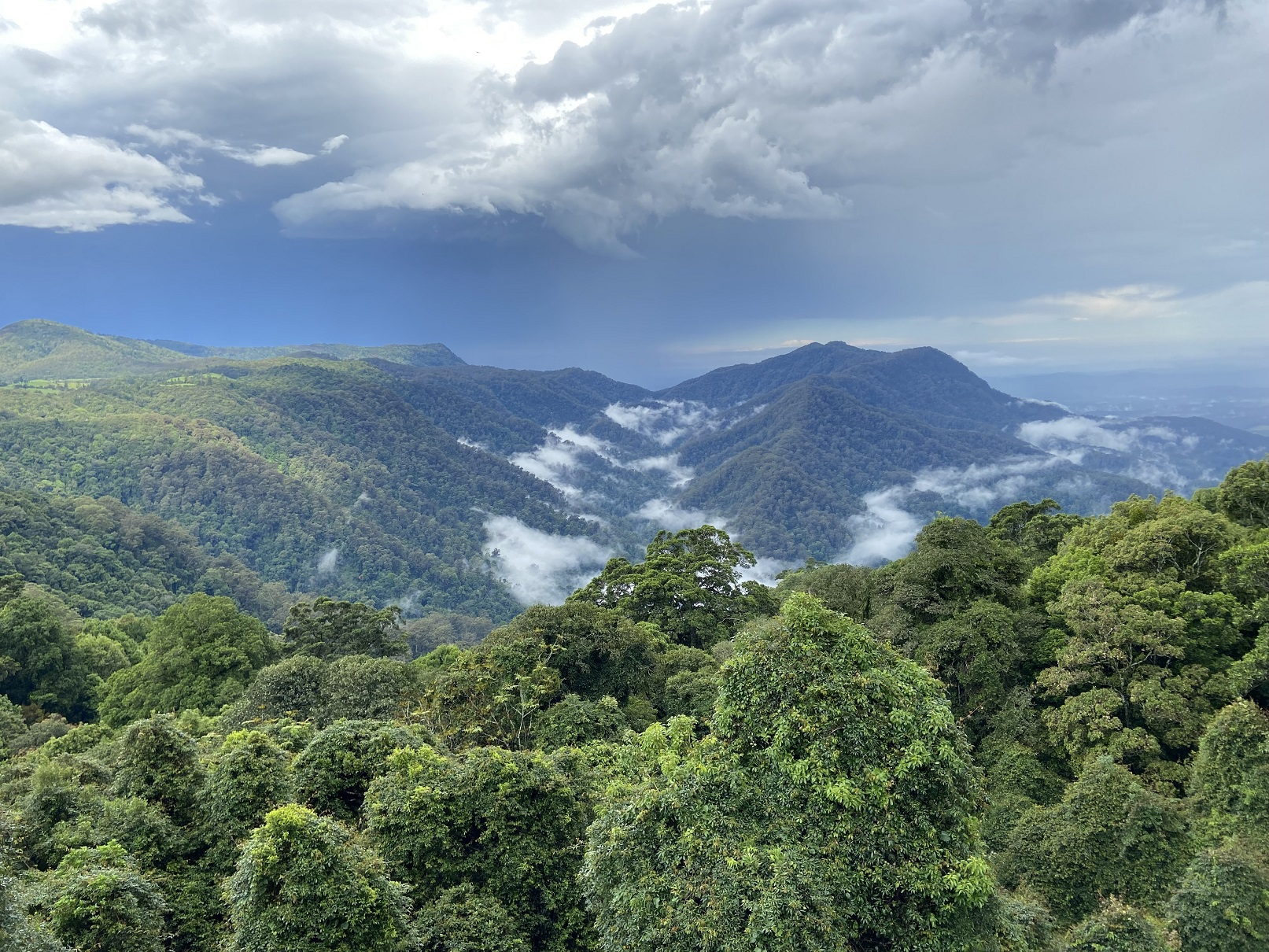 Die Natur ist uns in der Nord-Grundschule wichtig.